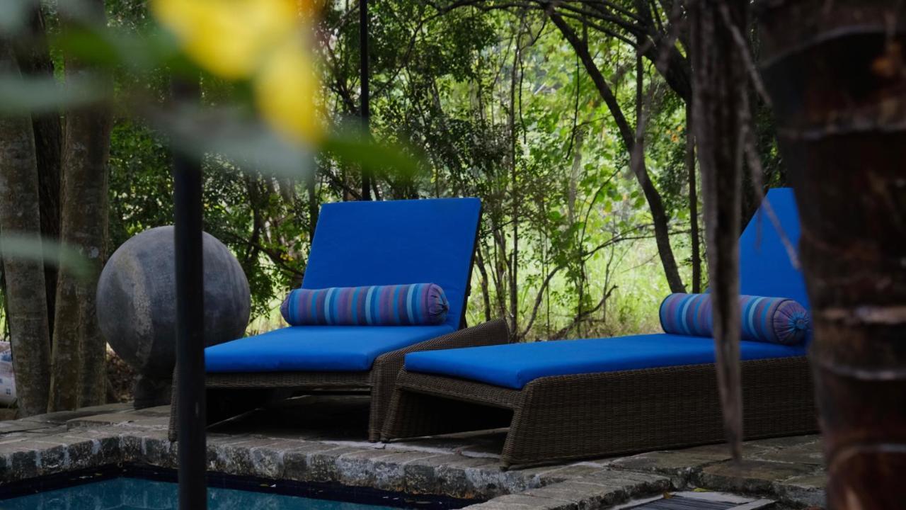 Hotel Mind Body And Soul à Dambulla Extérieur photo