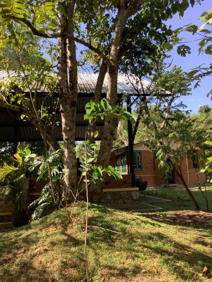 Hotel Mind Body And Soul à Dambulla Extérieur photo