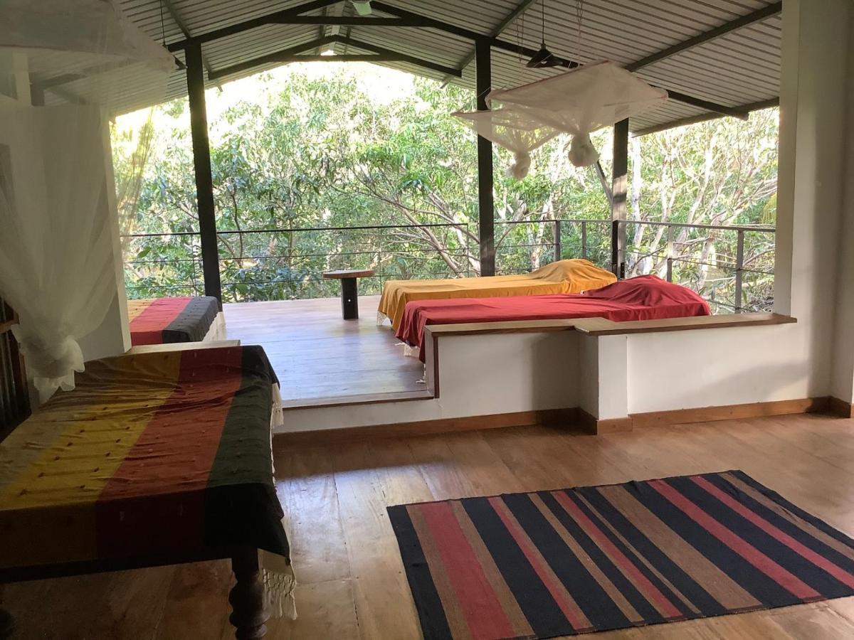 Hotel Mind Body And Soul à Dambulla Extérieur photo
