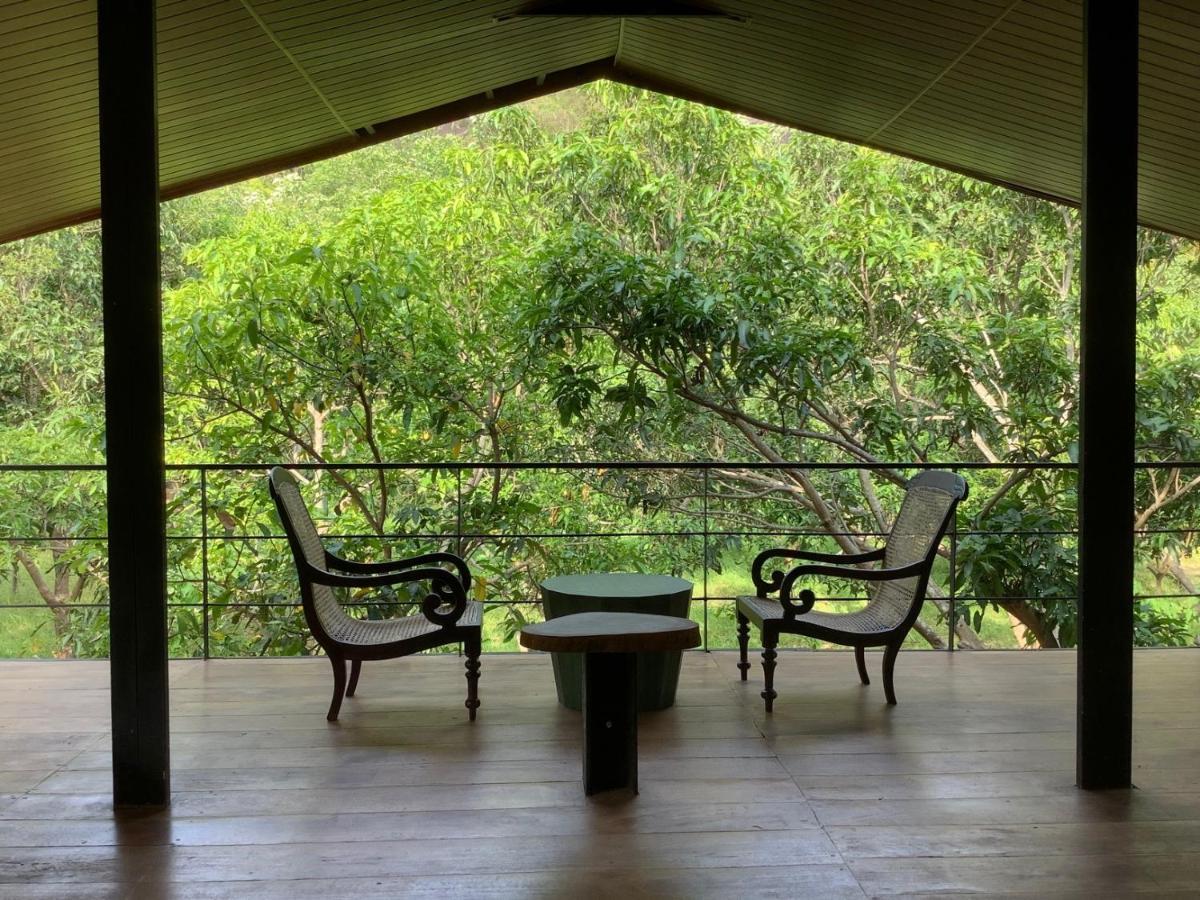 Hotel Mind Body And Soul à Dambulla Extérieur photo